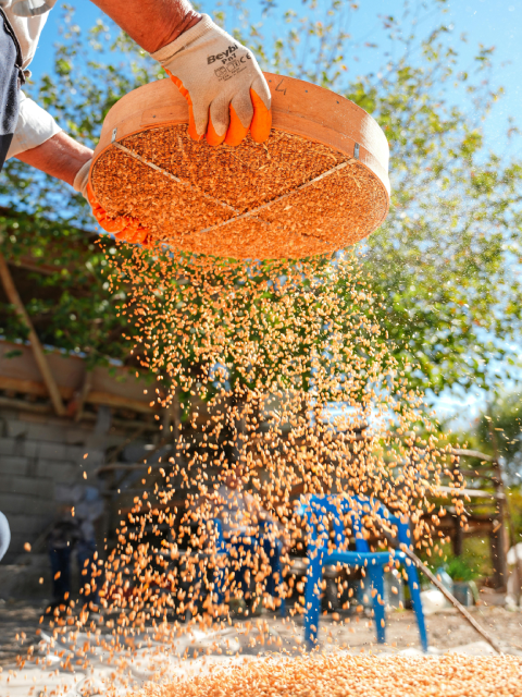 Colorful spices in bowls