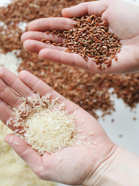 Rice grains